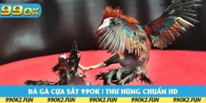 Đá Gà Cựa Sắt 99OK | Mãn Nhãn Trận Chiến Gay Cấn 2025